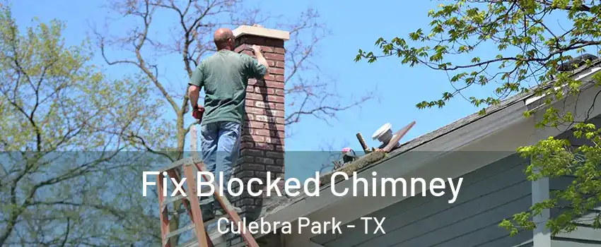 Fix Blocked Chimney Culebra Park - TX