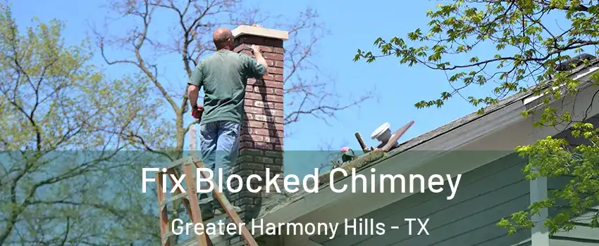 Fix Blocked Chimney Greater Harmony Hills - TX