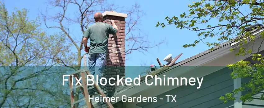 Fix Blocked Chimney Heimer Gardens - TX