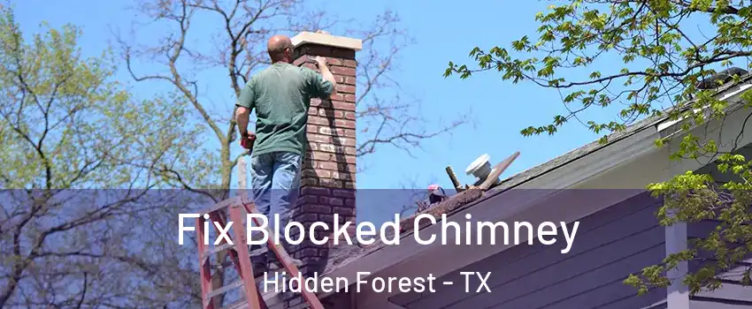 Fix Blocked Chimney Hidden Forest - TX