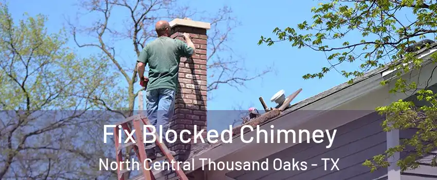 Fix Blocked Chimney North Central Thousand Oaks - TX