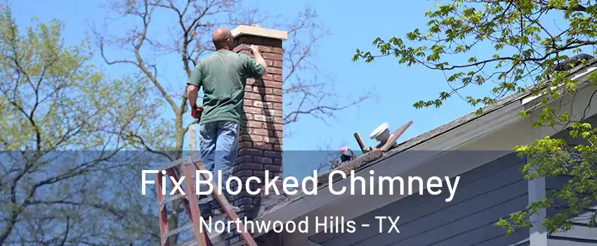 Fix Blocked Chimney Northwood Hills - TX