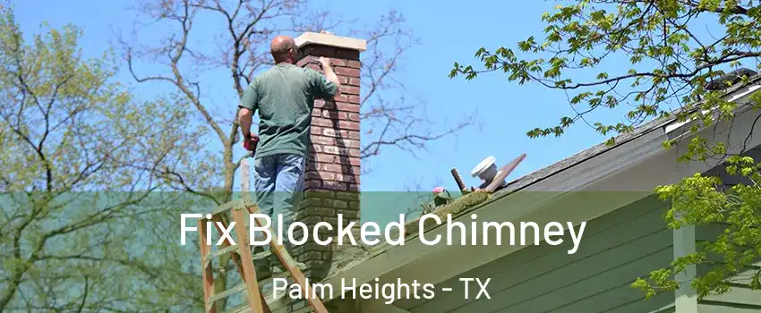 Fix Blocked Chimney Palm Heights - TX