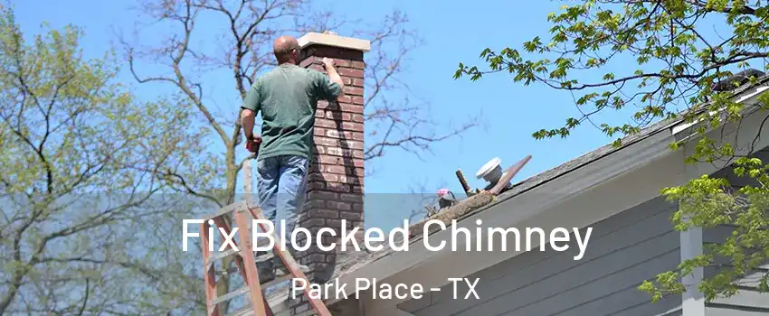 Fix Blocked Chimney Park Place - TX