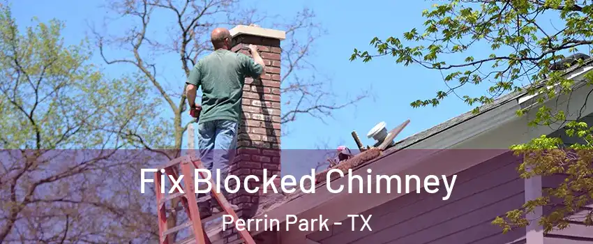 Fix Blocked Chimney Perrin Park - TX