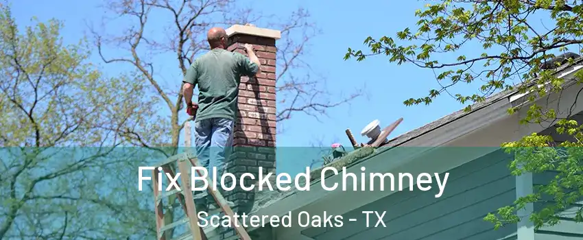 Fix Blocked Chimney Scattered Oaks - TX