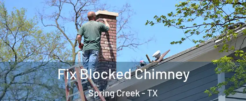 Fix Blocked Chimney Spring Creek - TX