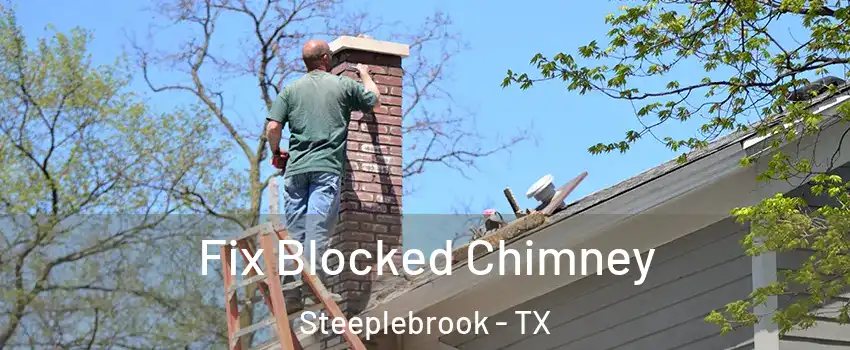 Fix Blocked Chimney Steeplebrook - TX