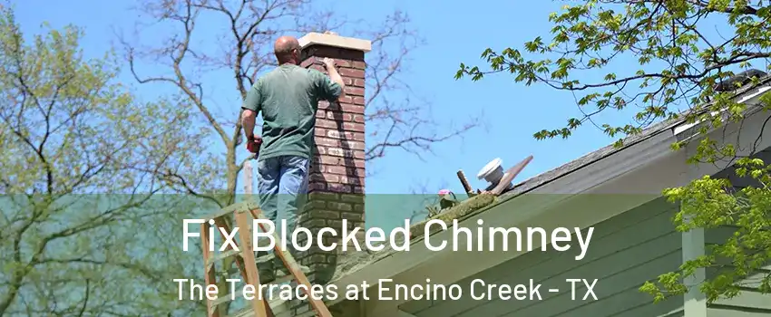 Fix Blocked Chimney The Terraces at Encino Creek - TX