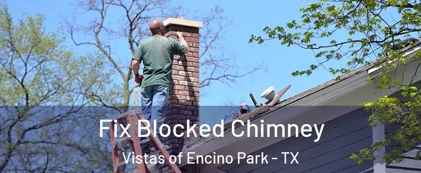 Fix Blocked Chimney Vistas of Encino Park - TX