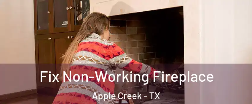 Fix Non-Working Fireplace Apple Creek - TX