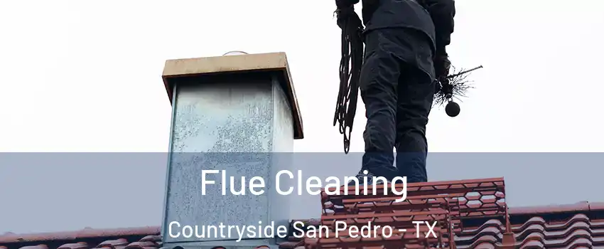 Flue Cleaning Countryside San Pedro - TX