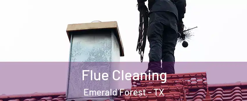 Flue Cleaning Emerald Forest - TX