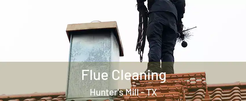 Flue Cleaning Hunter's Mill - TX