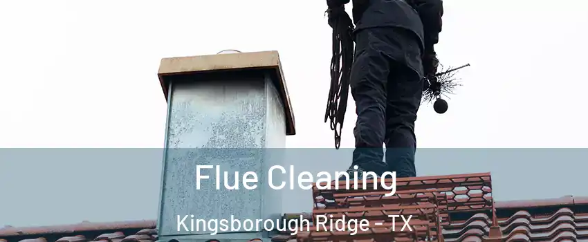 Flue Cleaning Kingsborough Ridge - TX