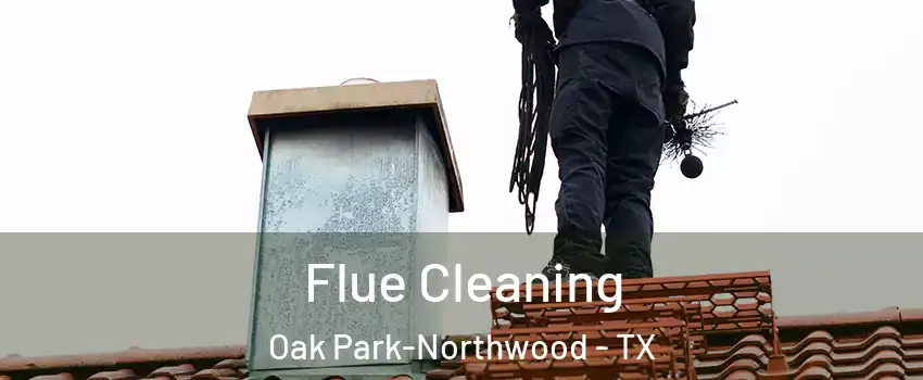 Flue Cleaning Oak Park-Northwood - TX