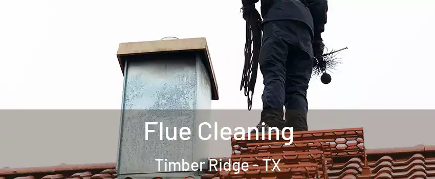 Flue Cleaning Timber Ridge - TX