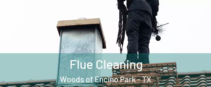 Flue Cleaning Woods of Encino Park - TX