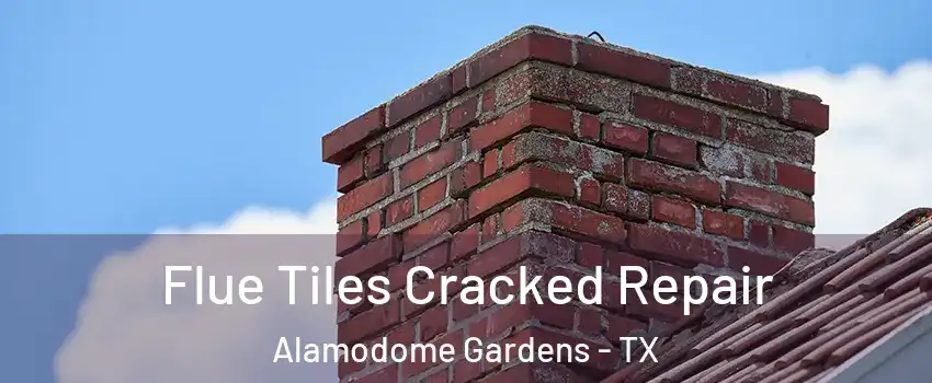 Flue Tiles Cracked Repair Alamodome Gardens - TX