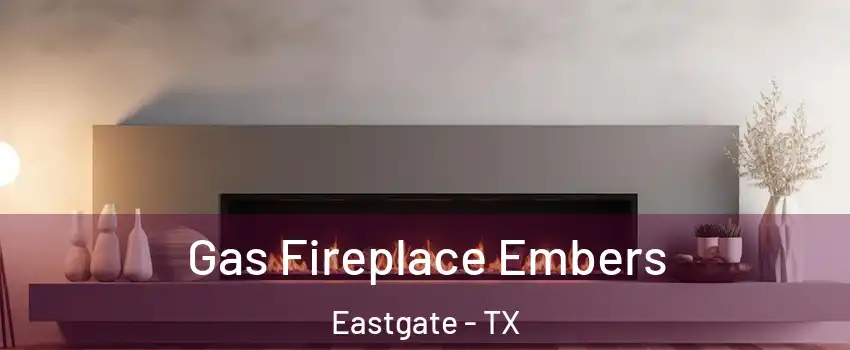 Gas Fireplace Embers Eastgate - TX