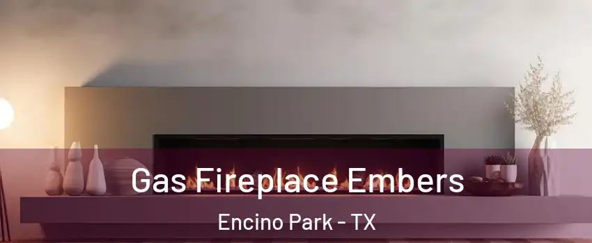 Gas Fireplace Embers Encino Park - TX