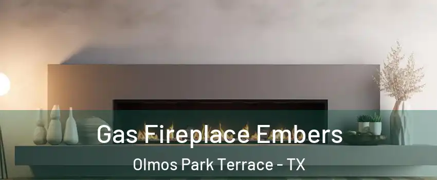 Gas Fireplace Embers Olmos Park Terrace - TX