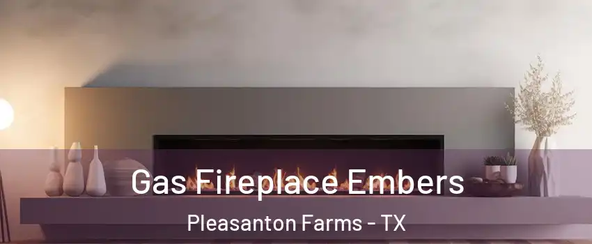 Gas Fireplace Embers Pleasanton Farms - TX