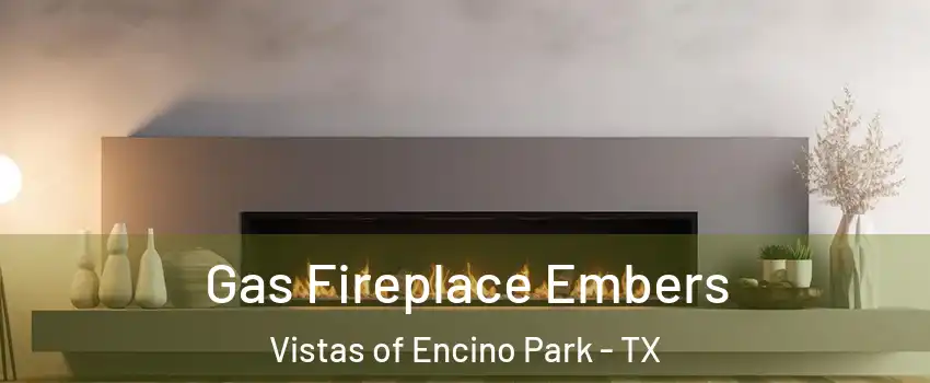 Gas Fireplace Embers Vistas of Encino Park - TX