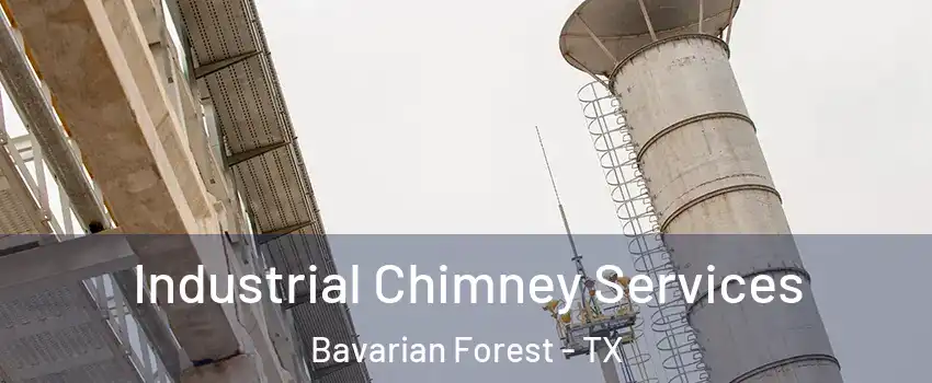 Industrial Chimney Services Bavarian Forest - TX