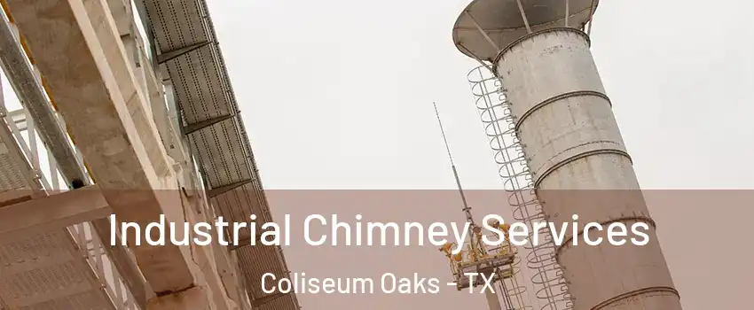 Industrial Chimney Services Coliseum Oaks - TX