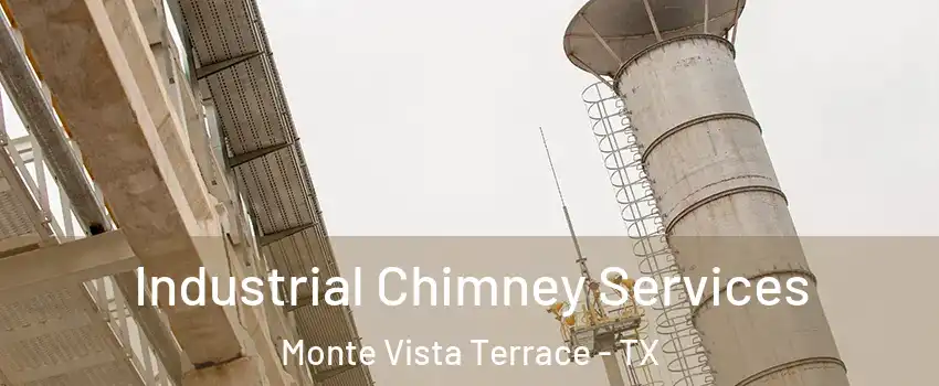 Industrial Chimney Services Monte Vista Terrace - TX