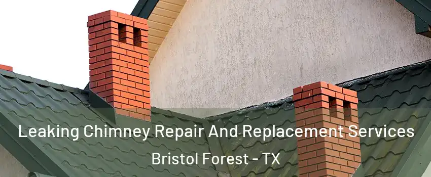 Leaking Chimney Repair And Replacement Services Bristol Forest - TX