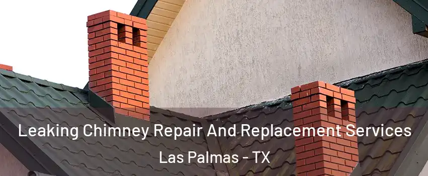 Leaking Chimney Repair And Replacement Services Las Palmas - TX