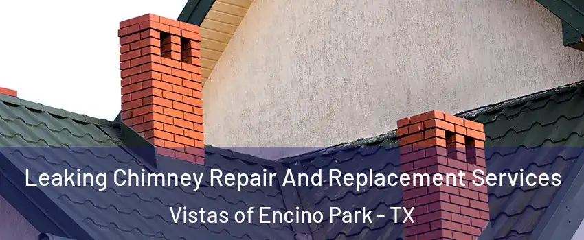 Leaking Chimney Repair And Replacement Services Vistas of Encino Park - TX