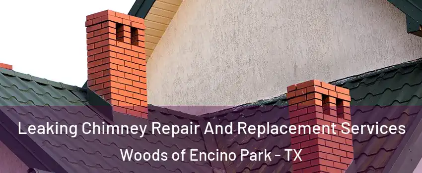 Leaking Chimney Repair And Replacement Services Woods of Encino Park - TX