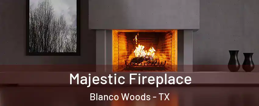 Majestic Fireplace Blanco Woods - TX