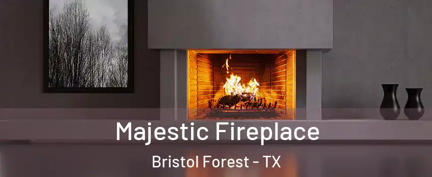 Majestic Fireplace Bristol Forest - TX