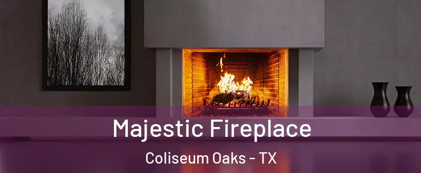 Majestic Fireplace Coliseum Oaks - TX