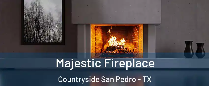 Majestic Fireplace Countryside San Pedro - TX