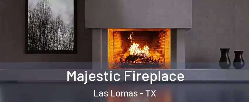 Majestic Fireplace Las Lomas - TX