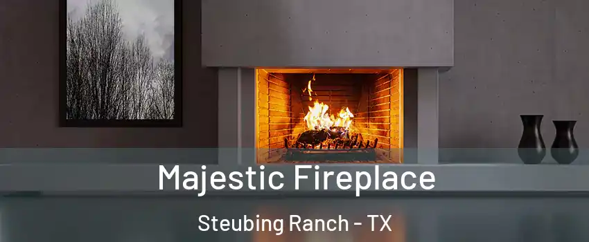 Majestic Fireplace Steubing Ranch - TX