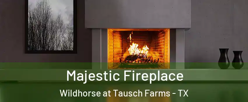 Majestic Fireplace Wildhorse at Tausch Farms - TX