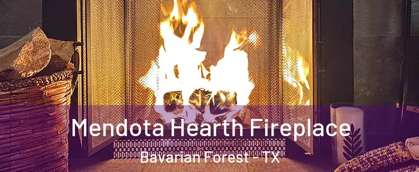 Mendota Hearth Fireplace Bavarian Forest - TX