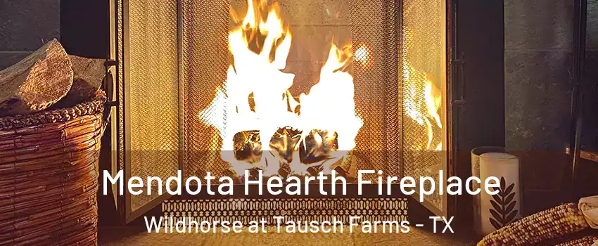 Mendota Hearth Fireplace Wildhorse at Tausch Farms - TX