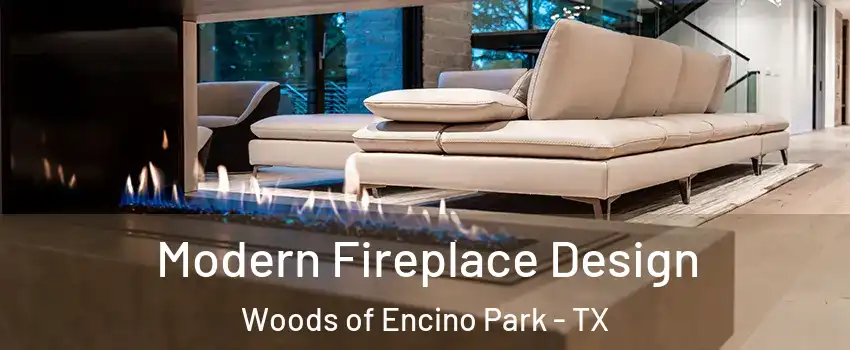 Modern Fireplace Design Woods of Encino Park - TX