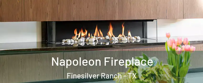 Napoleon Fireplace Finesilver Ranch - TX