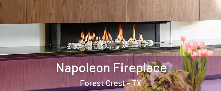 Napoleon Fireplace Forest Crest - TX