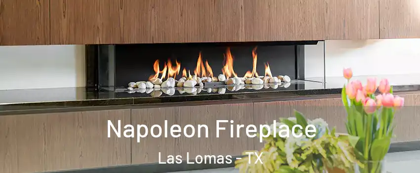 Napoleon Fireplace Las Lomas - TX