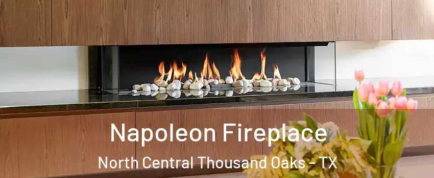 Napoleon Fireplace North Central Thousand Oaks - TX