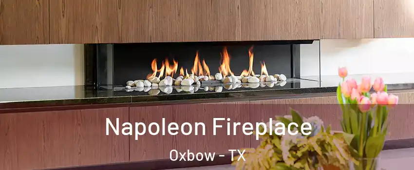 Napoleon Fireplace Oxbow - TX